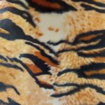 Safari Tiger